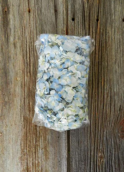 250 GRAMS BAGGED BLUE HYDRANGEA PETALS